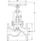 Globe valve Type: 417 Steel Flange PN40